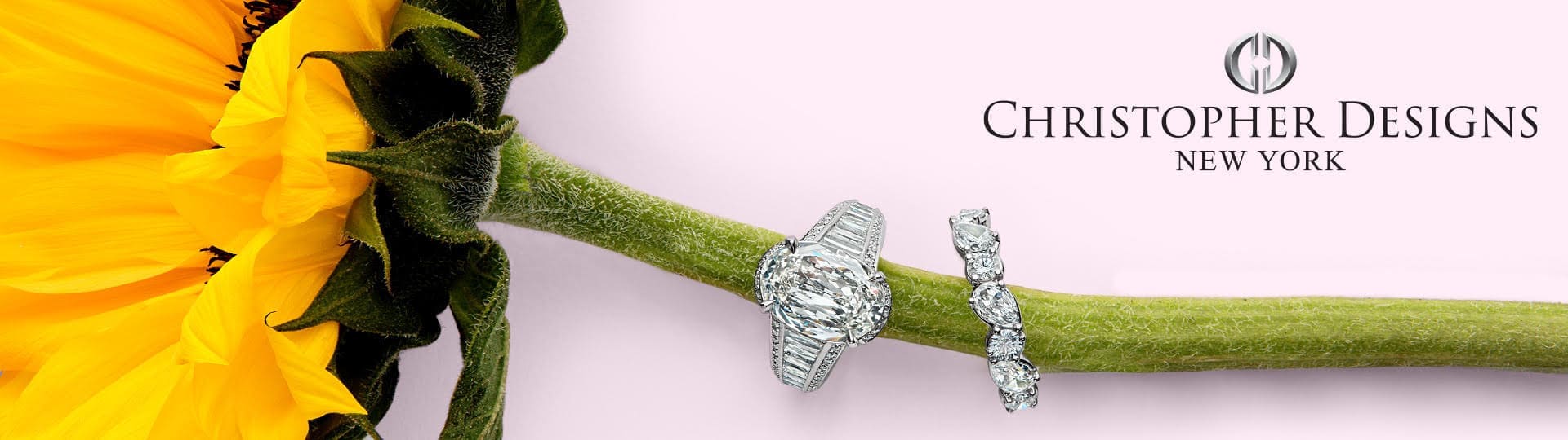 Event banner Event banner